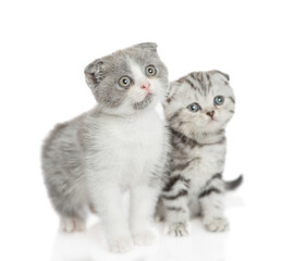 Two curious kitten standing and looking away and up on empty space. isolated on white background