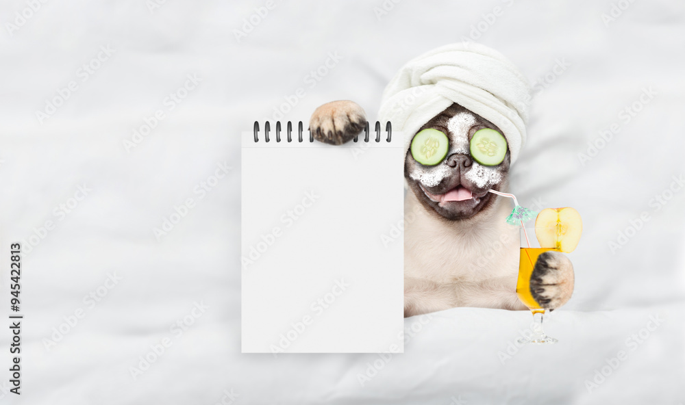 Fototapete Funny Pug puppy with towel on it head,with cream on it face and a pieces of cucumber on it eyes holds orange cocktail and relaxing on the bed at beauty salon and showing empty list. Top down view