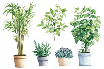 Fototapeta premium A collection of potted plants in various styles, showcasing greenery and natural beauty.