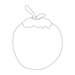 Coconut fruit icon editable, single. Vector illustration of coconut isolated on white background. For kids coloring book.