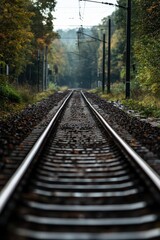 Obraz premium A serene view of a railway track surrounded by autumn foliage, capturing the essence of tranquility and nature's beauty.