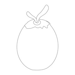 Coconut fruit icon editable, single. Vector illustration of coconut isolated on white background. For kids coloring book.