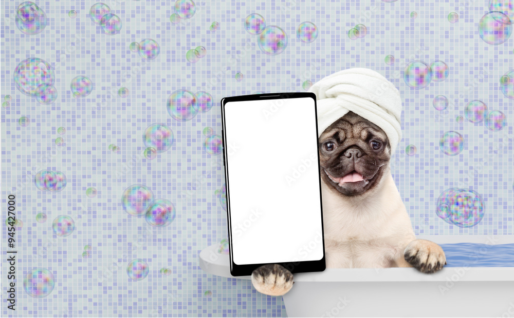 Poster Funny Pug puppy wrapped with towel takes the bath shows big smartphone with white blank screen in it paw. Empty space for text
