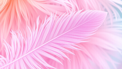 Obraz premium pastel colour feather abstract background