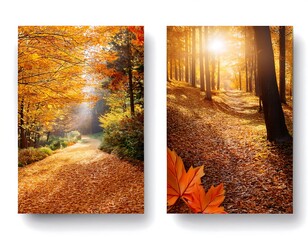 vector set realistic isolated brochures autumn sale flyer magazine poster design decoration display white background concept happy autumn