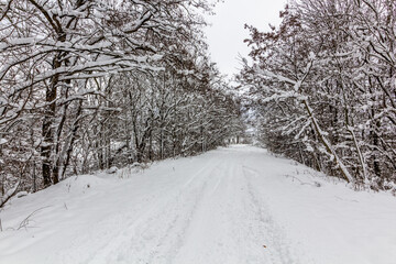 Winter snow covered path in Cesky raj area, Czech Republic