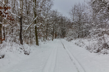 Winter snow covered path in Cesky raj area, Czech Republic