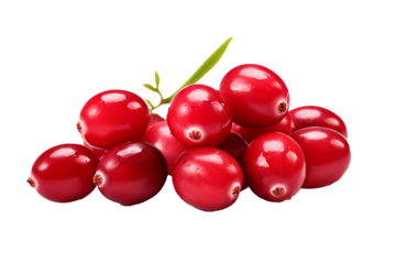 Freshly picked cranberry isolated on transparent background for culinary projects, holiday recipes, and organic food illustrations featuring vibrant red berries