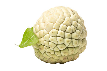 Fototapeta premium High-quality sugar apple isolated on transparent background for culinary designs and tropical fruit illustrations, perfect for health-focused projects and organic produce marketing