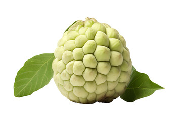 Fototapeta premium High-quality sugar apple isolated on transparent background for culinary designs and tropical fruit illustrations, perfect for health-focused projects and organic produce marketing