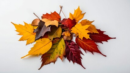 Pile of autumn orange, yellow, red, brown and green colored fallen leaves isolated on white background with copy space. Bright flat lay autumn foliage header wallpaper design.