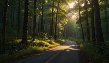Fototapeta premium Serene Forest Pathway at Dawn