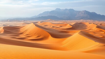 Desert landscape
