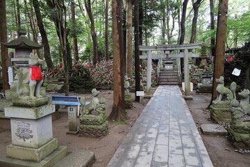  A Japanese temple : a scene of the precincts of Myogon-ji Temple in Toyokawa City in Aichi Prefecture　日本のお寺：愛知県豊川市にある妙厳寺の境内風景