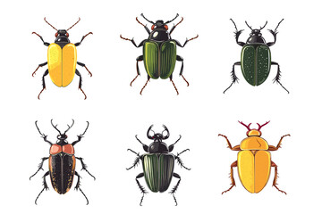 Vector drawing set of bugs, beetles and insects hand drawn insect isolated at white background