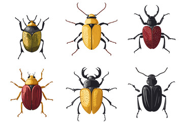 Vector drawing set of bugs, beetles and insects hand drawn insect isolated at white background