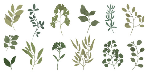 Collection of botanical elements in green color. Set of eucalyptus leaf, branches, leaves and herb with watercolor. Hand drawn of foliage vectors for wedding decor, website, graphic and shop.