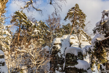 Fototapety na wymiar - Fototapeta24.pl