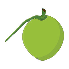 Green coconut vector graphics, Young coconut water icon. Summer coconut cocktail. Vector illustration of tropical exotic fruits in flat style.
