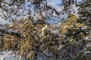 Winter view of snow covered Prachovske skaly rocks in Cesky raj (Czech Paradise) region, Czech Republic