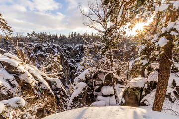 Fototapety na wymiar - Fototapeta24.pl