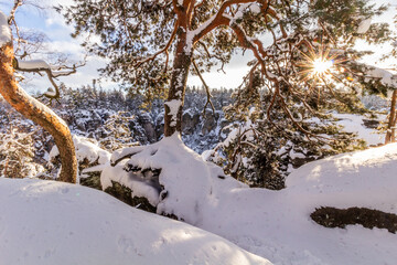Winter view of snow covered Prachovske skaly rocks in Cesky raj (Czech Paradise) region, Czech Republic