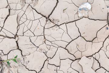 Erosion in dry sandy soil in summer