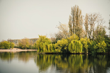 Island in a lake on a dreary gray spring day