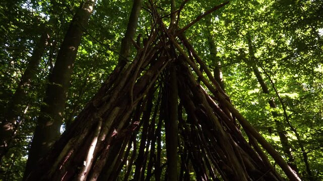 cabane en branches dans un parc
