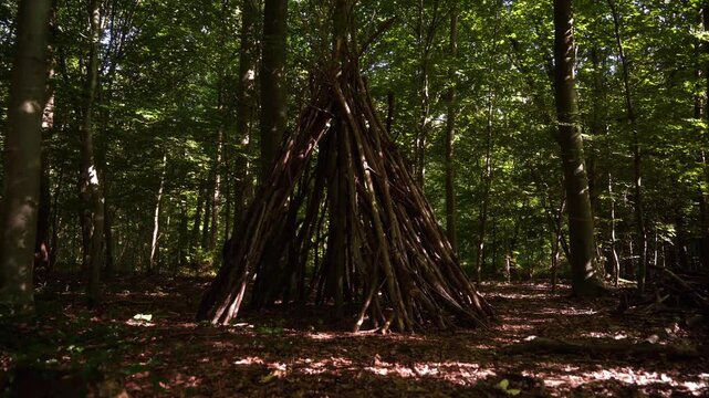 cabane en branches dans un parc
