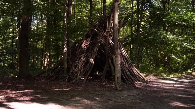 cabane en branches dans un parc