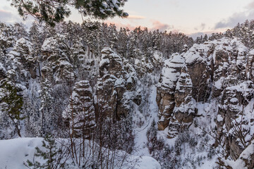 Fototapety na wymiar - Fototapeta24.pl