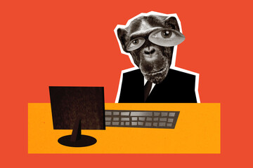 Composite photo collage of business human instead head monkey mask sit table pc monitor keyboard freelance isolated on painted background