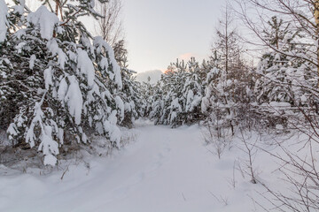 Fototapety na wymiar - Fototapeta24.pl