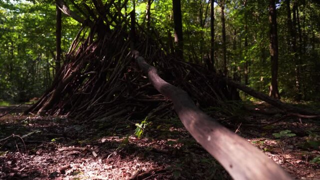 cabane en branches dans un parc