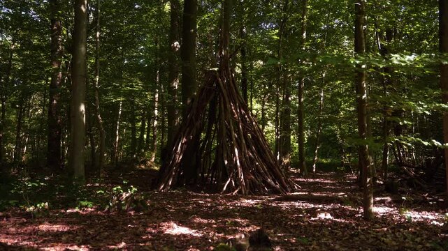 cabane en branches dans un parc