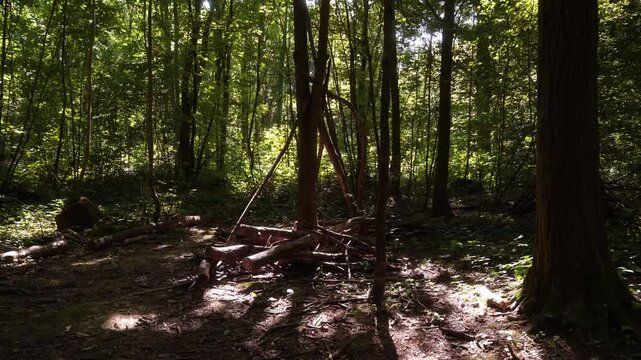 cabane en branches dans un parc