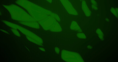 Green background shadow light overlay blur nature on cment floor wall backdrop, minimal room for presentation product tropical or ecosystem environment organic, platform empty abstract pastel.