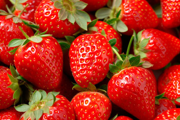 red delicious strawberries in full frame background