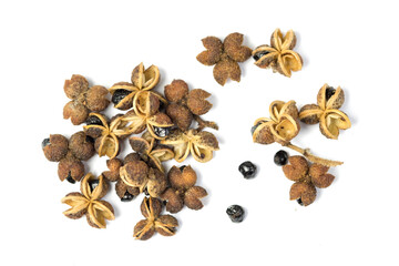 Group of Dried  Makhwaen , Zanthoxylum limonella (Dennst.) Alston seeds , northern Thai spices, for cooking, isolated on white background 
top view flat lay.