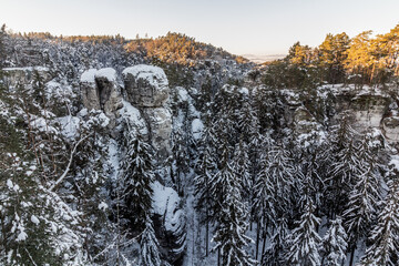 Fototapety na wymiar - Fototapeta24.pl