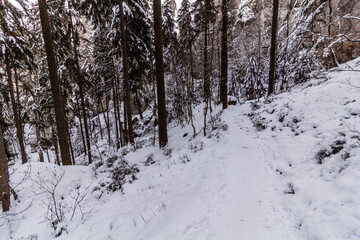 Path in Hruba Skala rocks in Cesky raj (Czech Paradise) region, Czech Republic