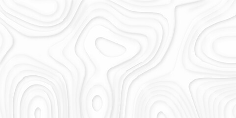 Abstract paper carve template. abstract white and gray 3d papercut topography relief vector background illustration. topographic canyon geometric map relief texture with curved layers and shadow.
