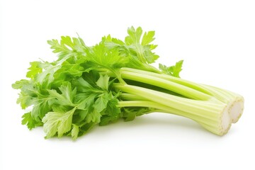 A fresh bunch of celery with vibrant green leaves and stalks.