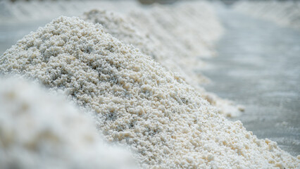 Pile of sea salt in the salt field