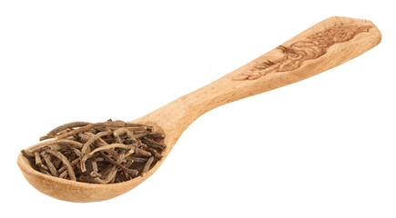 Dried Valerian root in wooden spoon isolated on white background. Valeriana officinalis with full...