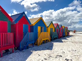 Naklejka premium The iconic Muizenberg Beach huts for people to change in and out of bathing suits situated on Muizenberg Beach, Cape Town, South Africa