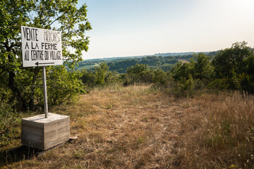 selling fruits in the south of france