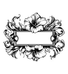 Hand drawn plants, dividers, wreaths, border frames	