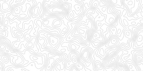 Black and white topography contour lines map isolated on white background. The stylized height of the topographic map contour in lines and contours isolated on transparent. topography line map.